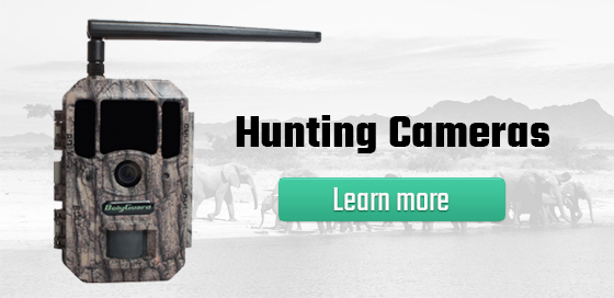 Hunting Cameras